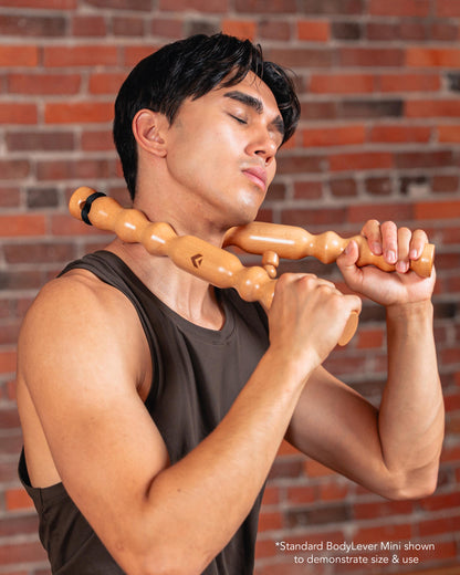 BodyLever Elite Mini - Nightfall